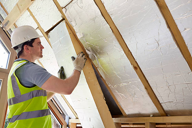 Best Insulation Maintenance and Repair in Mayflower, AR